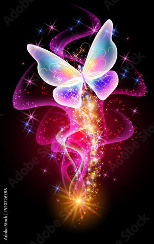 Fantastic butterfly and magical curving transparent waves with glowing stars on night dark background
