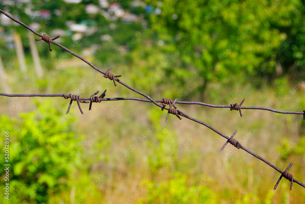 barbed wire that prohibits access to some area. barbed wire that prohibits access to some area.