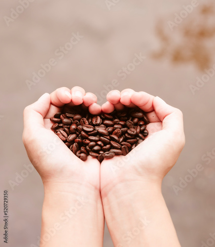 View of  Asia female hands with roasted coffee beans pouring out of cupped hands in bunch of other coffee seeds. Grains of fresh coffee roasting in hands with blurred background. © Naknakhone