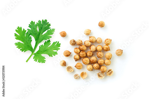 Group coriander seed isolated on white background , top view , flat lay. photo