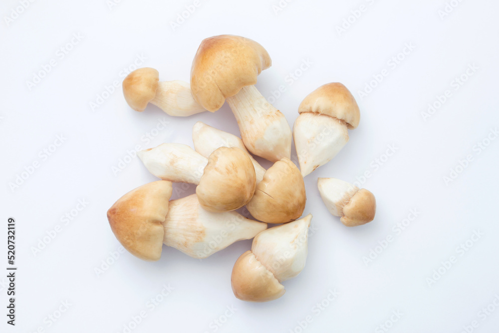 Group termite mushroom on white background , top view , flat lay. Group termite mushroom on white background , top view , flat lay.