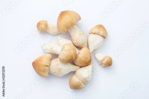 Group termite mushroom on white background , top view , flat lay.