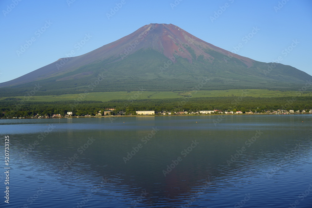 Fototapeta premium 富士山