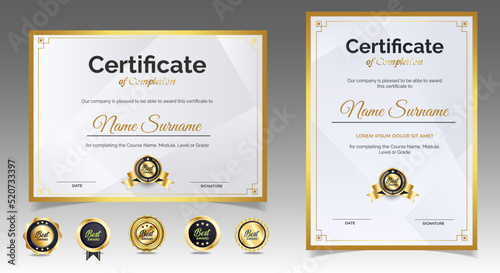 Professional diploma certificate template in premium style 