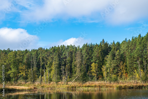 Forest lake by a bog with autumn colors