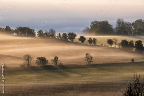 Countryside view with morning mist