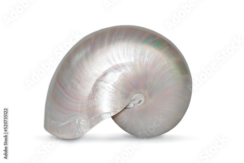 Принти на полотні Image of pearl shell of a nautilus pompilius on a white background