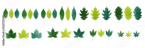 Set of watercolor green leaves collection. Vector illustration.