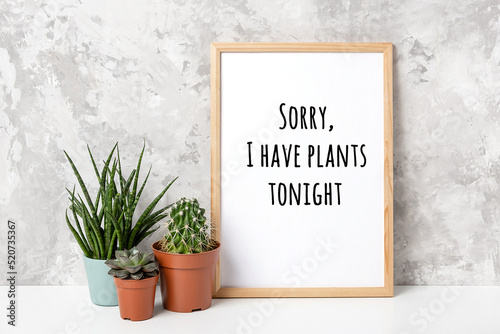 Sorry, I have plants tonight. Motivational pun quote on wood frame and house plants on white table against grey stone wall. Inspirational joke, humor phrase of the day photo