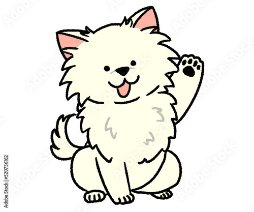 片手挙げる白いチワワ