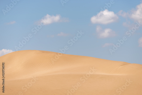 dune and sky with clouds of a desert by the beach in summer  copy space. landscape image 