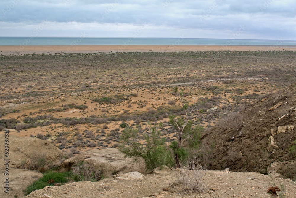 A view of the ecological disaster, the Dry Aral Sea, from the Ustyurt Plateau. Karakalpakstan. Uzbekistan
