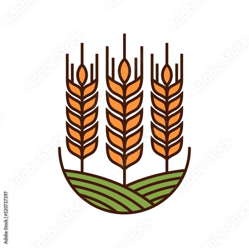 Cereal ear spike icon of wheat, barley, rye millet and rice, vector agriculture farm arable field emblem. Bread, flour, or cereal and grain food symbol of rye or oat and rice ear spikes on green field