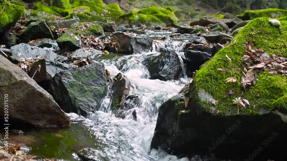 Environment ecology image of river stream Environment ecology image of river stream
