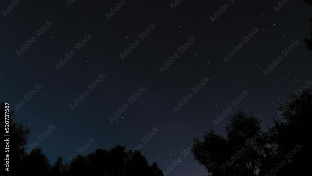 Silhouette of trees against dark night starry sky, time lapse view Silhouette of trees against dark night starry sky, time lapse view