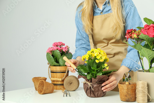 Concept of gardening, woman care for flowers