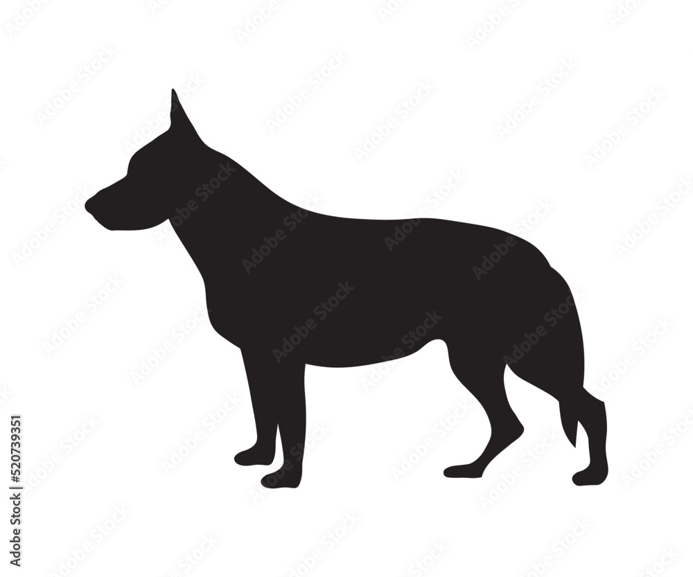 black shadow,silhouette of a sheepdog sideways
