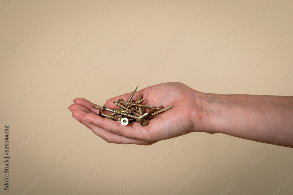 Screws in hand for construction and repair work Screws in hand for construction and repair work
