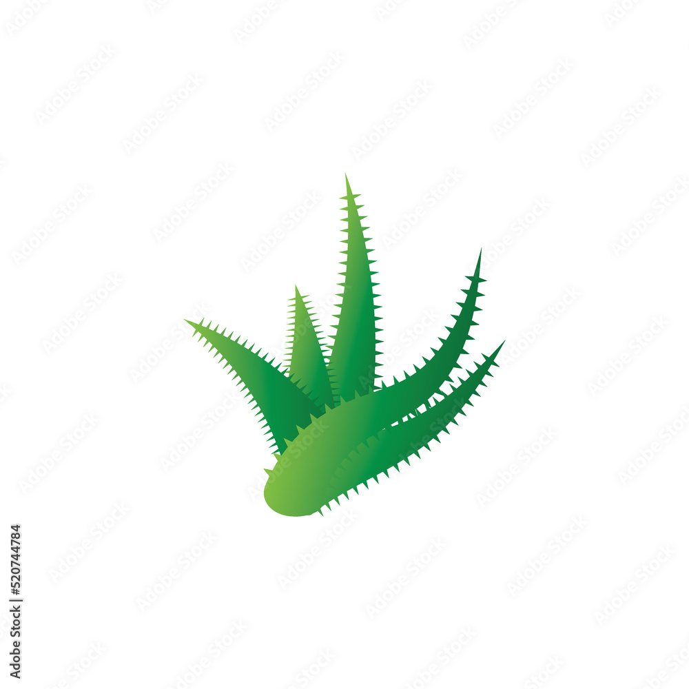 Aloe vera logo vector ilustration template