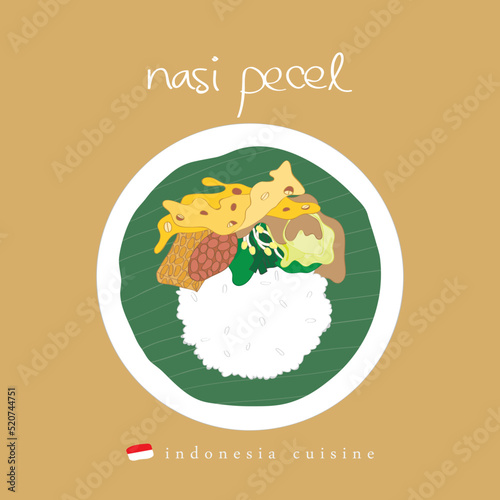 Nasi pecel asia food illustration photo