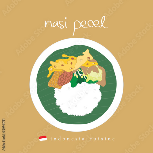 Nasi pecel asia food illustration