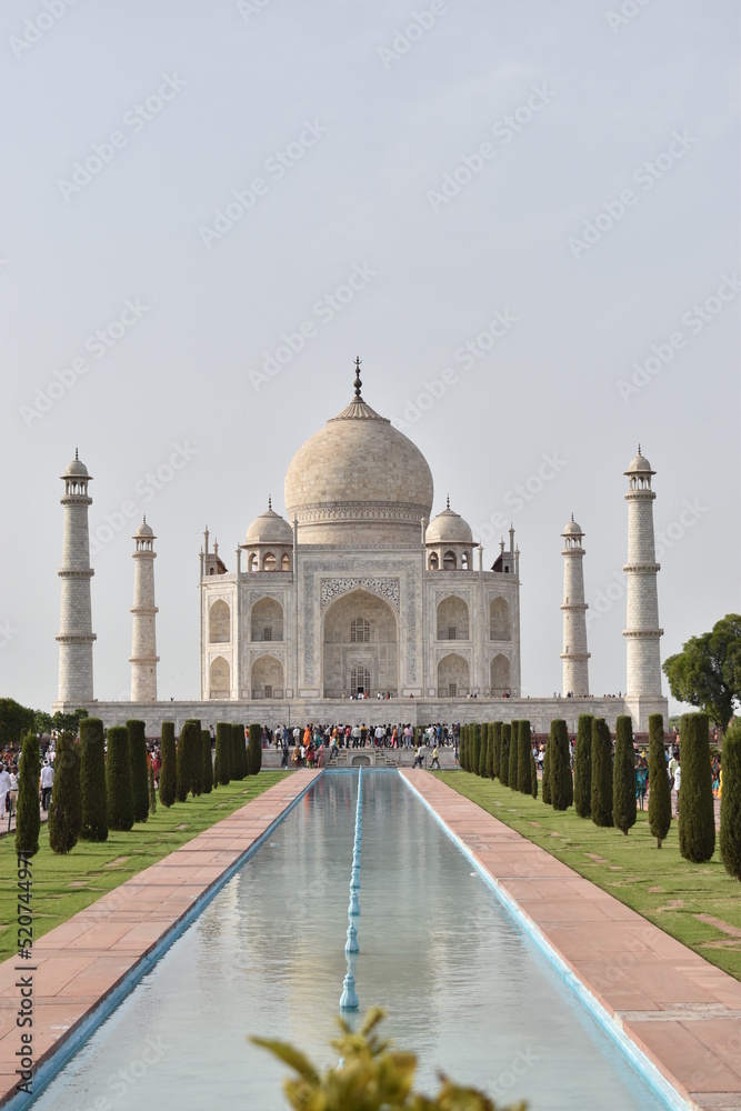 Fototapeta premium He smelled the way the Taj Mahal looks by moonlight