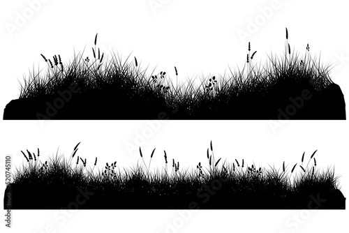 grassy field. grassy background. grass ground