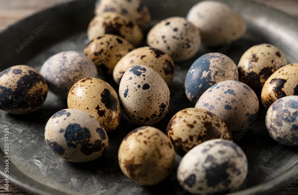 Obraz premium Many quail eggs placed against a wooden background.