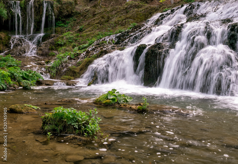 Fototapeta premium waterfall in the forest