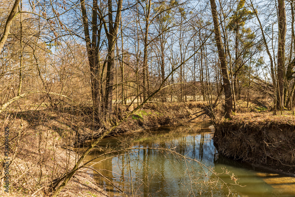 Meandering river with trees around and meadow on the background during early springtime day with clear sky