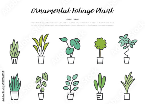 ベクターイラスト素材：観葉植物、セット
