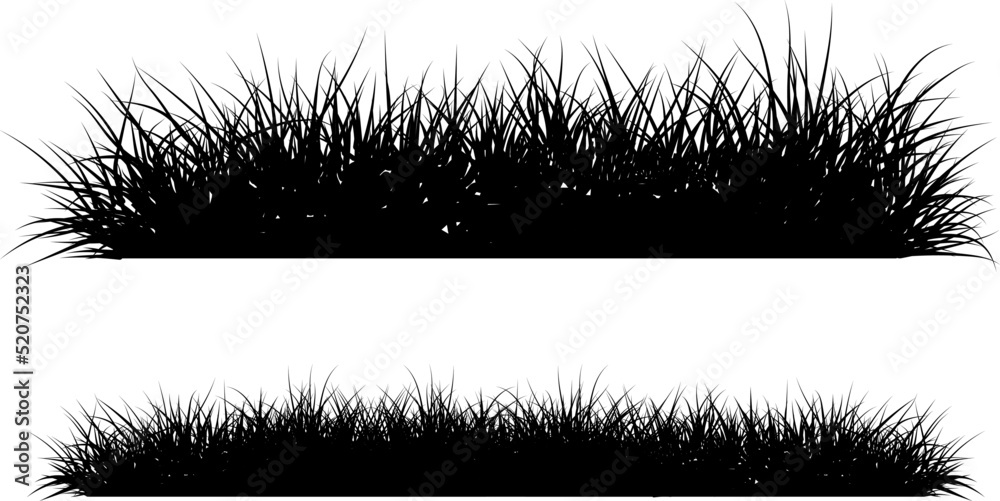 Poster Vector grass silhouette on isolated white background ...