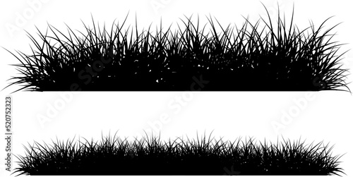 Print op canvas Vector grass silhouette on isolated white background