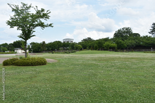 日本の前橋市 前橋公園の風景