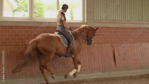 Young Female And Chestnut Dressage Horse Canter At Indoor Arena. Tracking Shot