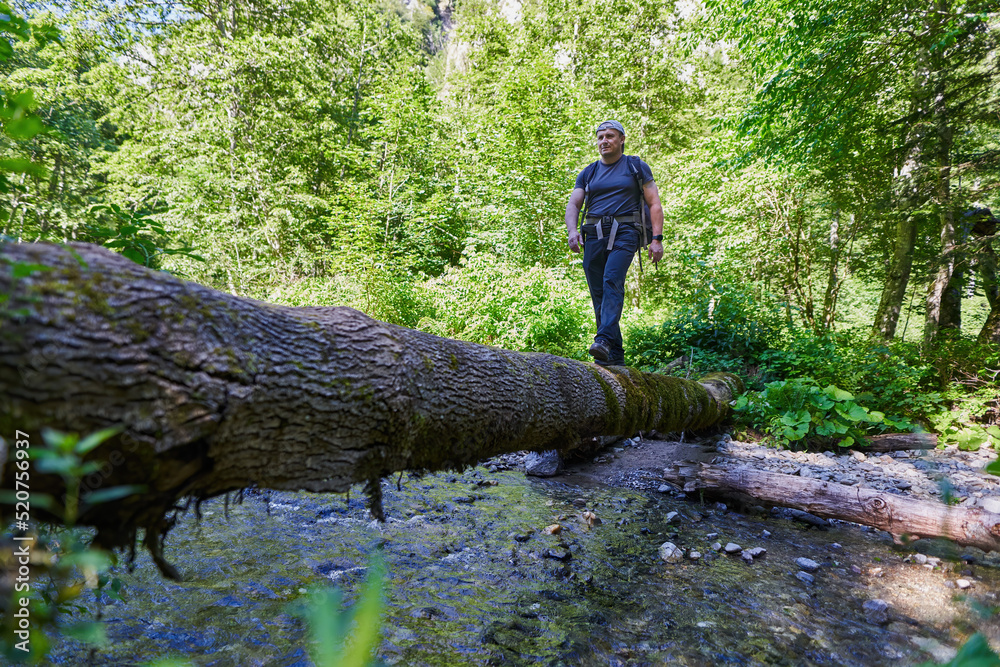 Photographer crossing the river on a fallen tree Photographer crossing the river on a fallen tree
