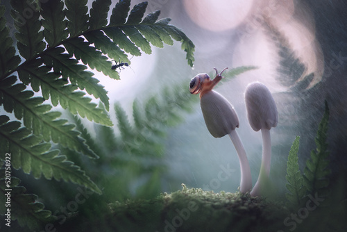 Fantasy beautiful magical fairy meadow with mushrooms and snail, in a magical fairytale enchanted forest, on a mysterious natural background,an elegant artistic exquisite image of the beauty of nature
