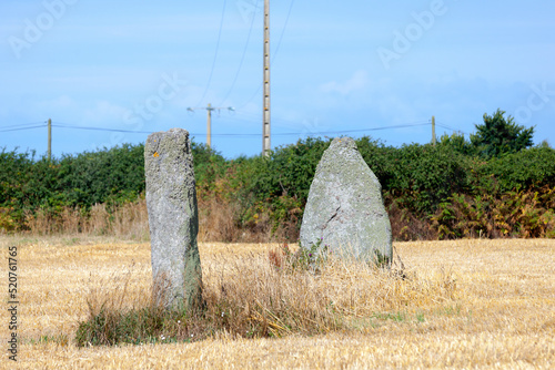 Menhirs of Kerguiabo in Brittany photo