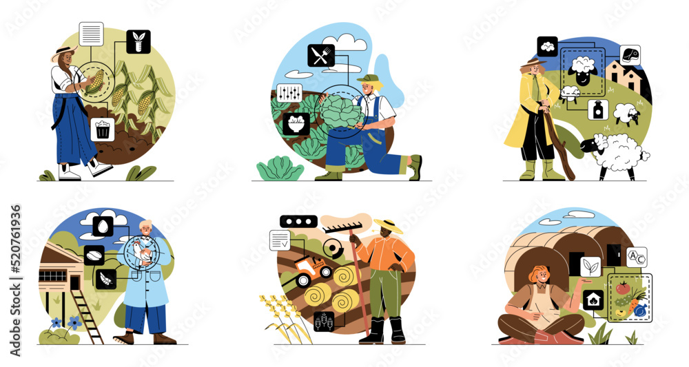 Fototapeta premium Scenes with agricultural workers. Man and woman farmers harvesting or picking crops, grazing sheep in field, and growing vegetables in greenhouse. Cartoon flat vector collection isolated on white