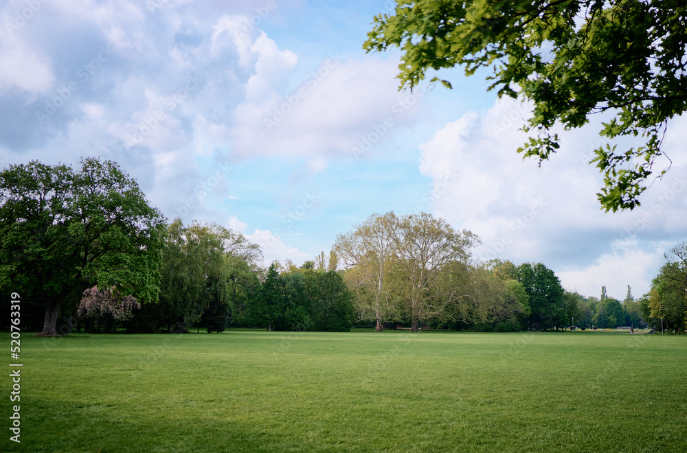 Landscape with green trees and grass field. Landscape with green trees and grass field.