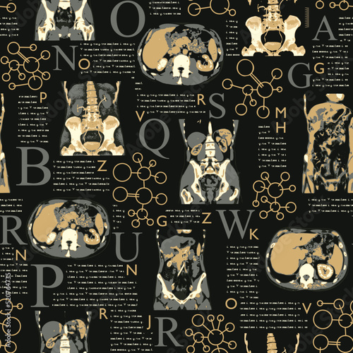 seamless pattern background. vector x-ray of human abdomen with pelvic bone and spine. Medical diagnostics of the digestive system and kidneys