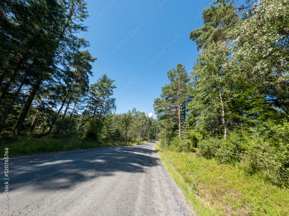 Fototapeta premium Late summer road in Sweden