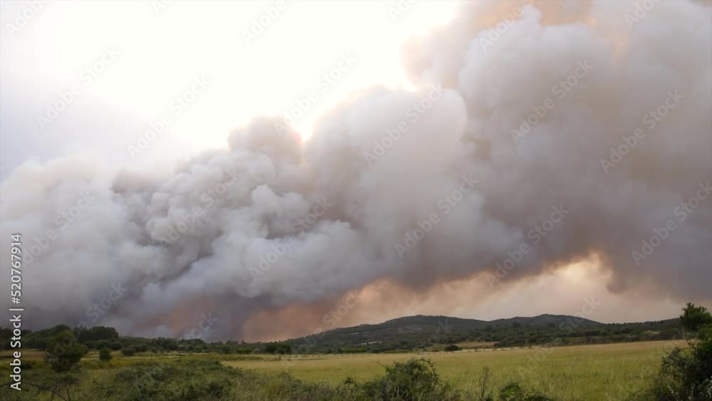 Smoke Over Burning Forest. Large Smoke Clouds in a Wild Fire Smoke Over Burning Forest. Large Smoke Clouds in a Wild Fire