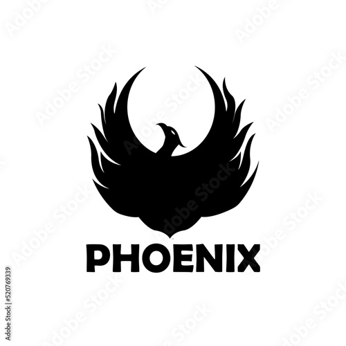 phoenix animal design logo vector. illustration of phoenix logo