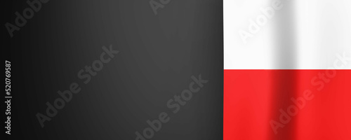 Flaga Polski tło