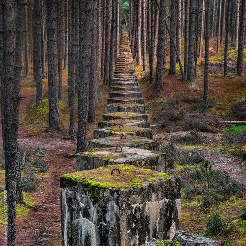 Anti tank cube from ww2 in Lossie Forest photo