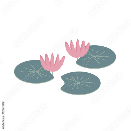 Water lily flower, simple vector hand drawn illustration isolated on white background