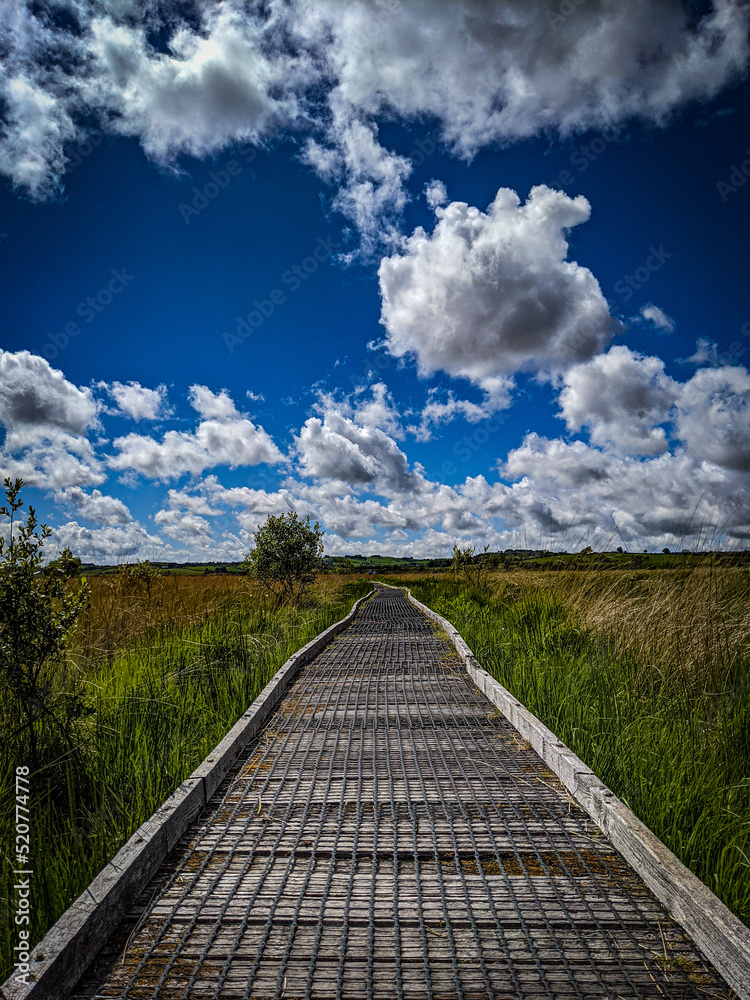 Boardwalk leading into beautiful skies over nature reserve