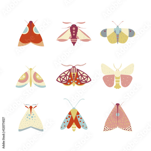 Set of moths and butterflies. Tiger moth, wine moth, night moth, Colorful geometric insects flat vector illustrations