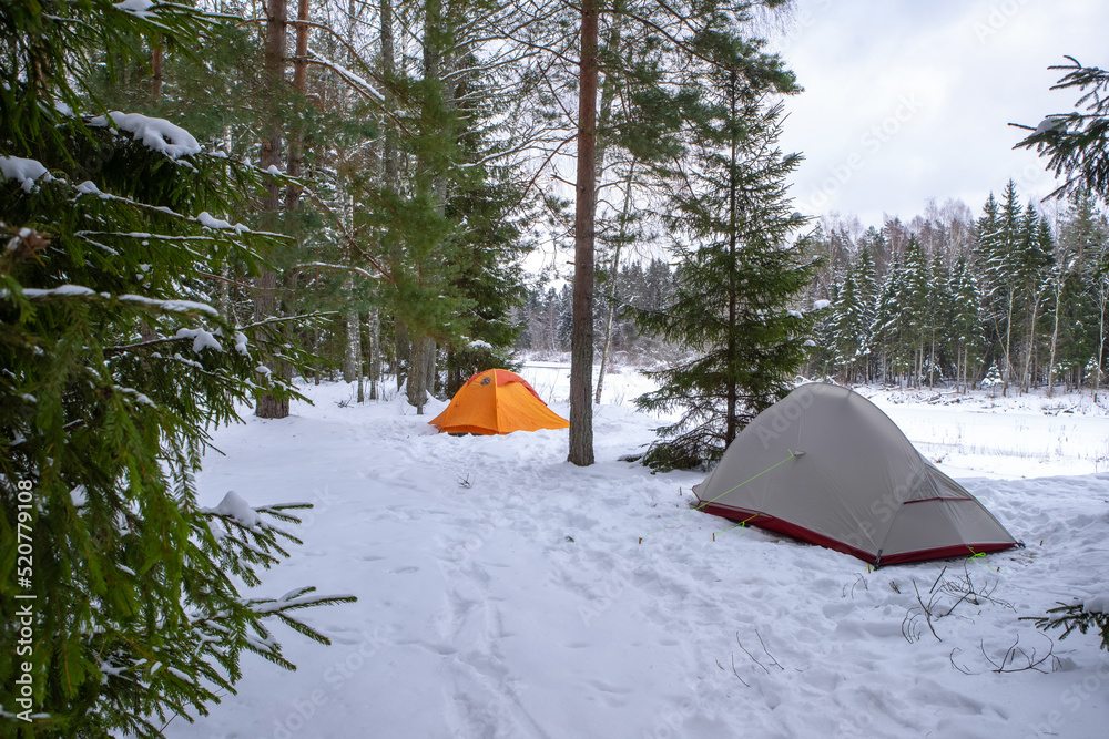 Grey and orange tents in snowy forest. Camp on winter nature